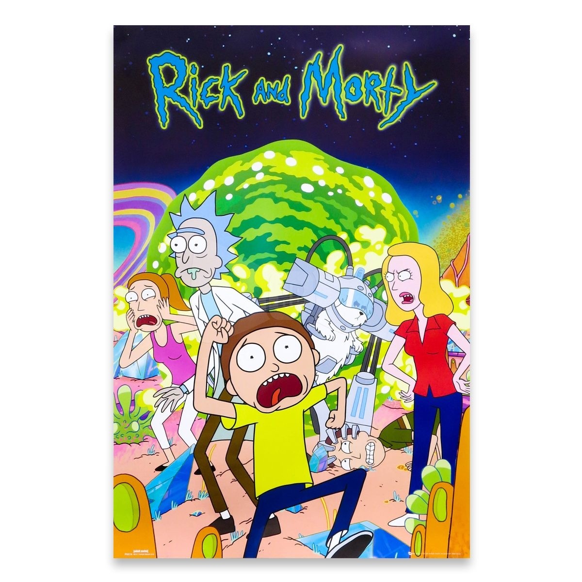 poster-rick-and-morty.jpg.